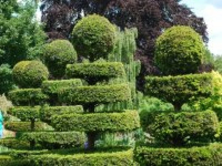 Sibberscote Manor #1