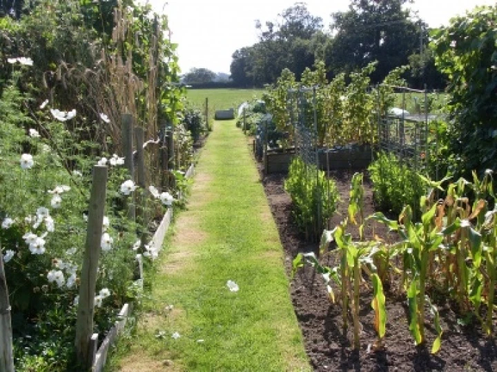 Allotment2