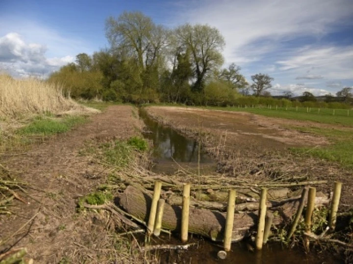 Millbrook Wetlands  (3) April 2016 Web  copy