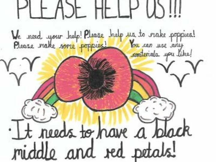Schol Poppy Poster