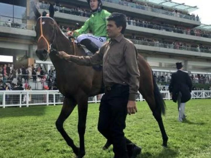 Ascot Winner
