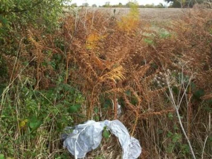 Sky Lantern Litter