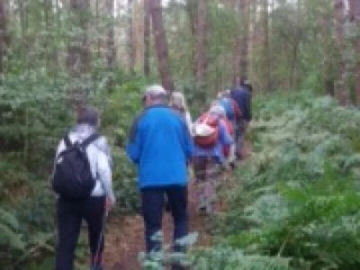 U3A whitegate