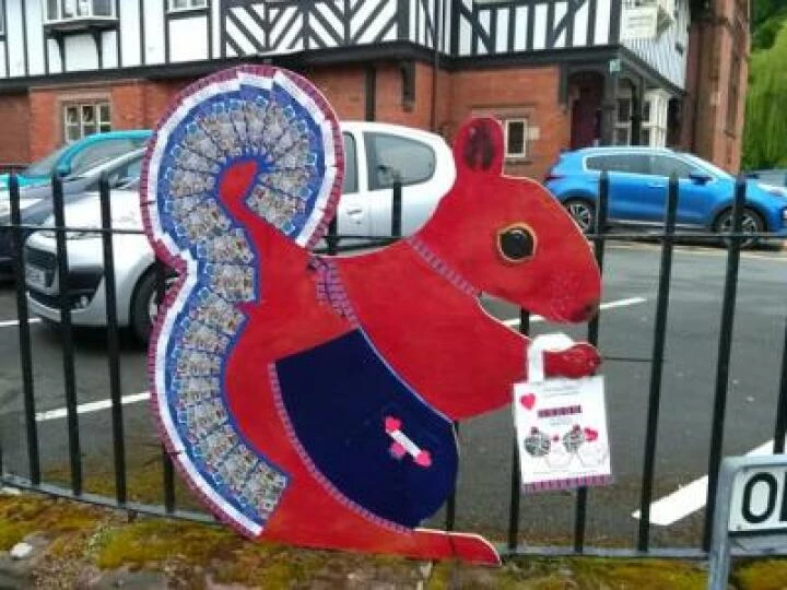 squirrels