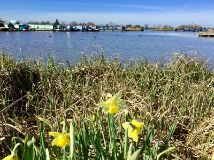 Spring 2017