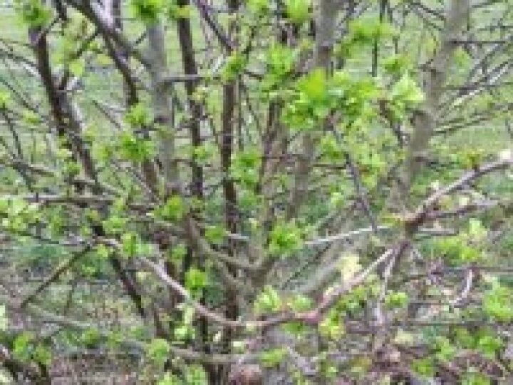 Spring is here