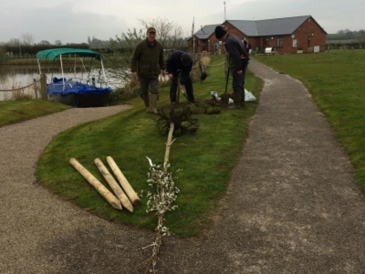 Tree planting 2016