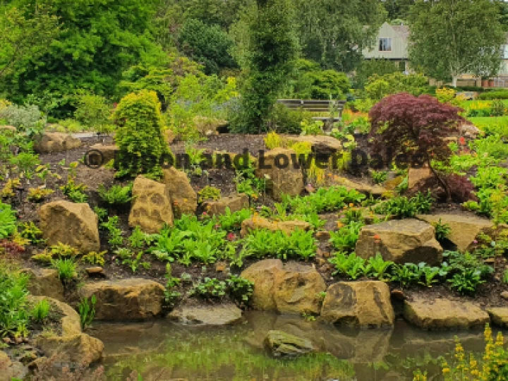 Harlow Carr 1