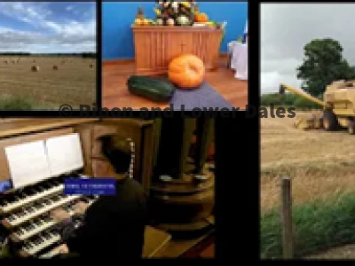 Harvest 2020