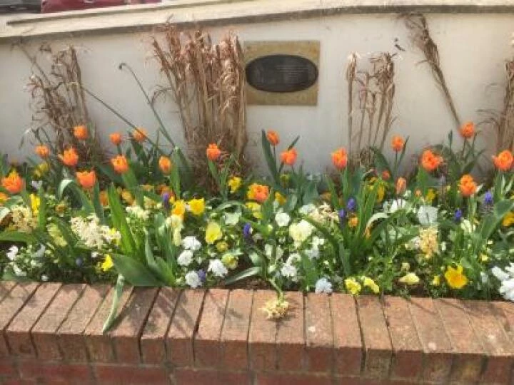 2018-spring-LC