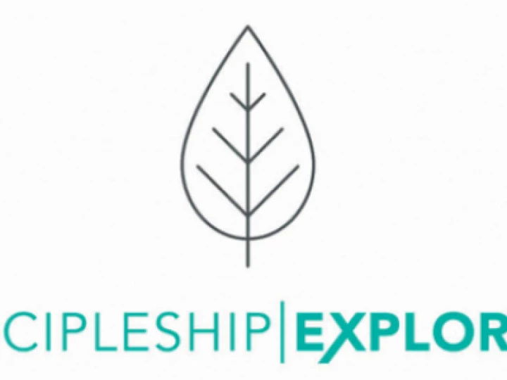 DE logo