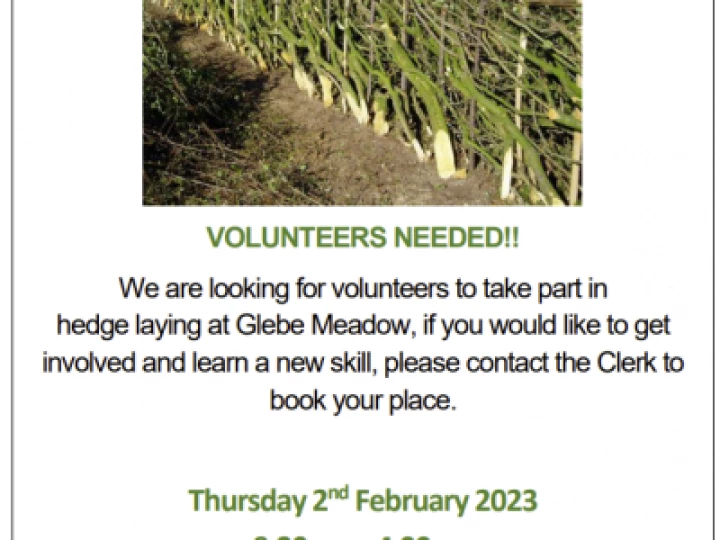 Hedge Laying