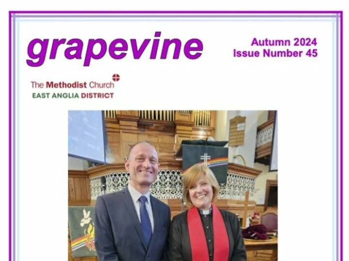 Grapevine Autumn 2024 – Working Document