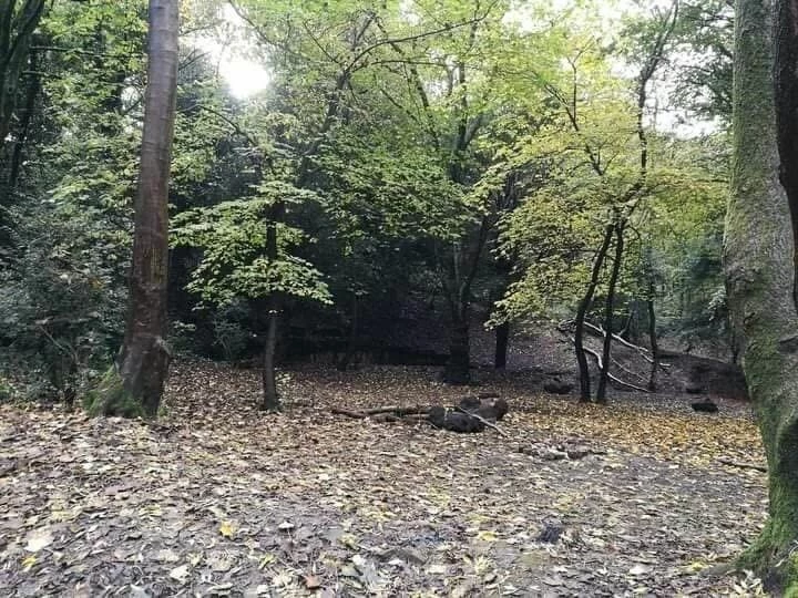 Unknown-4