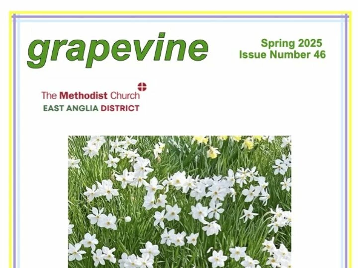 Grapevine Spring 2025