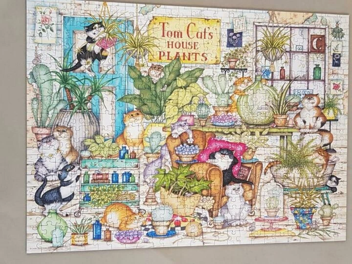 Jigsaw puzzle