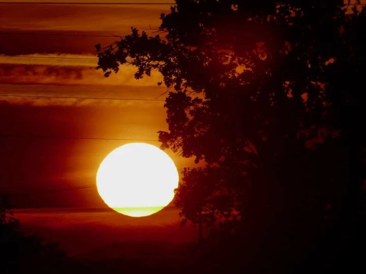 heatwave