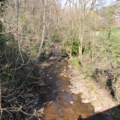 Calder Vale 2