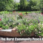 Peace garden image
