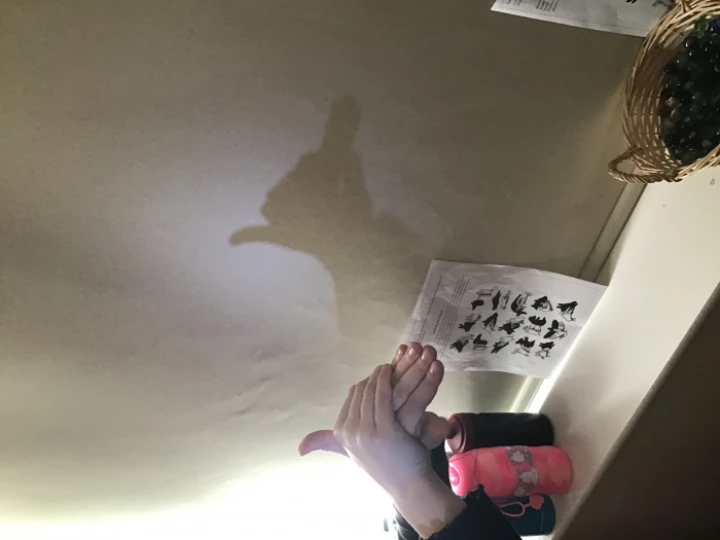 Shadow