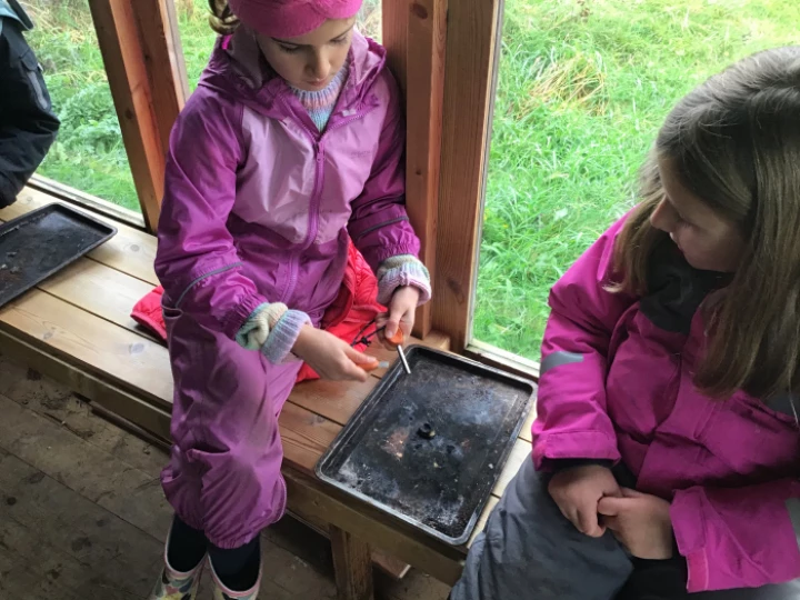 Y3 10-11-23 Forest school 2