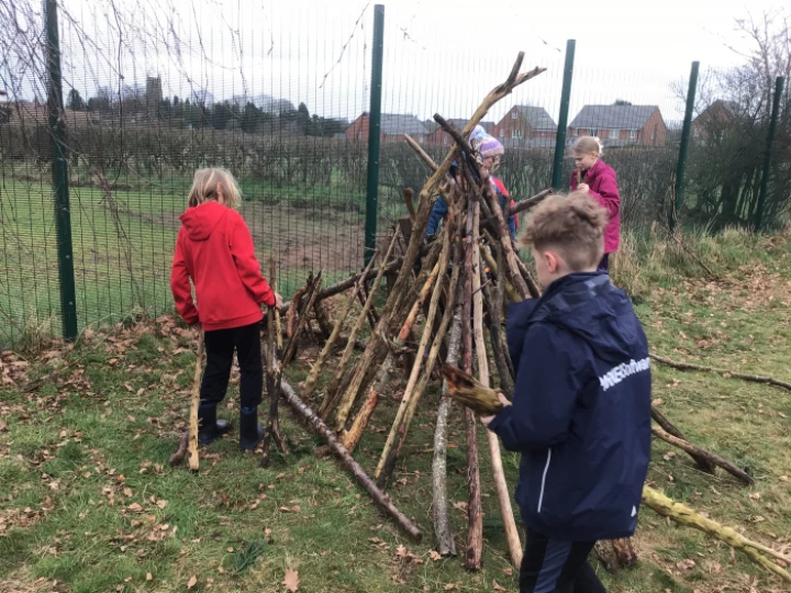 Forest schools