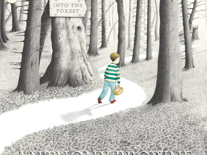 Y3 into the forest front cover