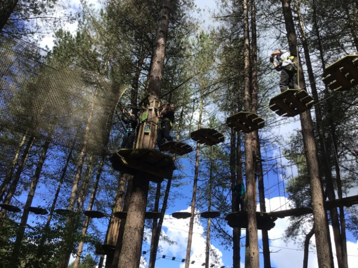 Go Ape
