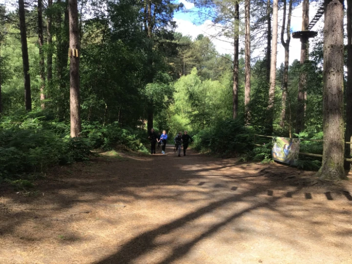 Go Ape