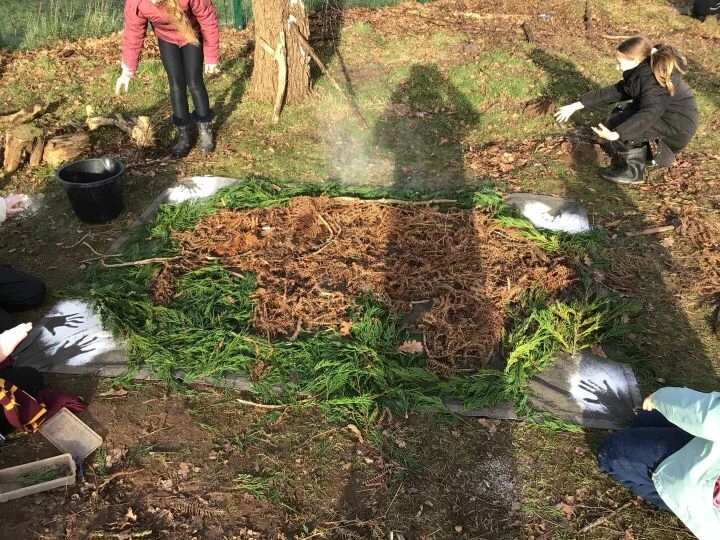 Forest Schools
