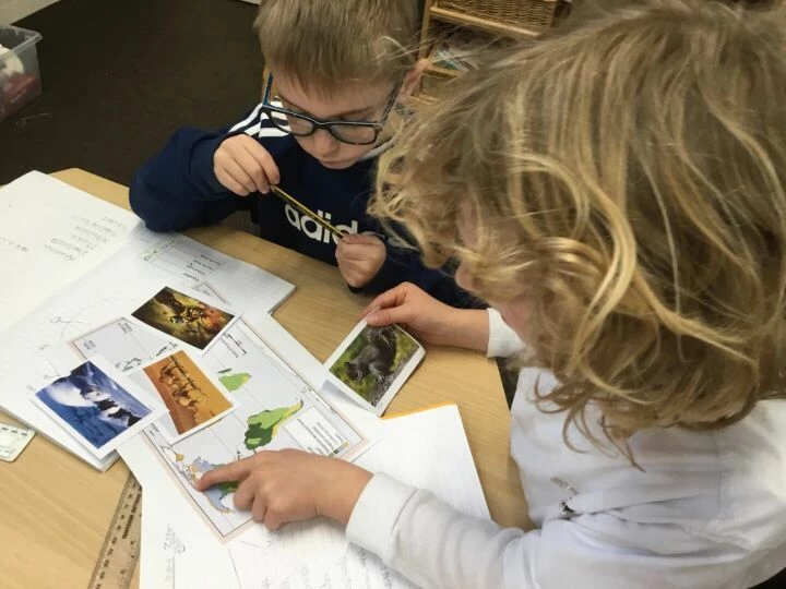 Y3 Biomes