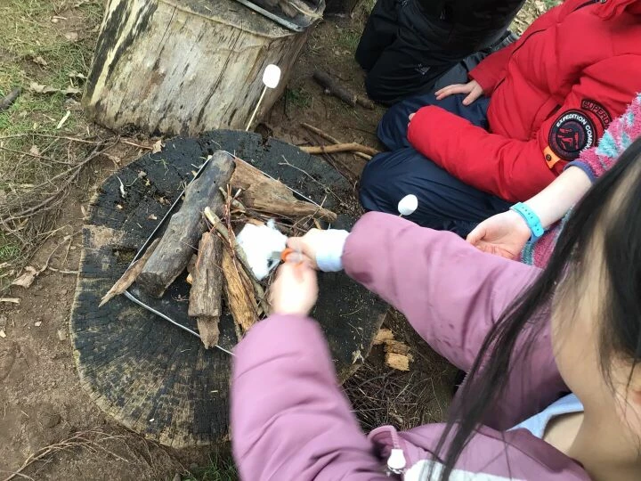 Forest Schools