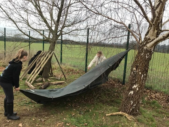 Forest schools