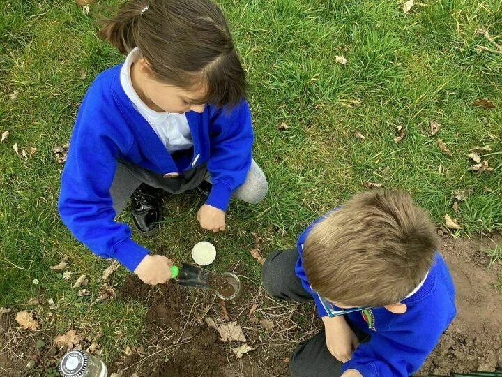 Y3 soil fieldwork 3