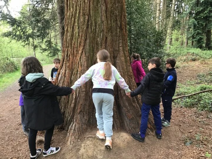 PGL 17