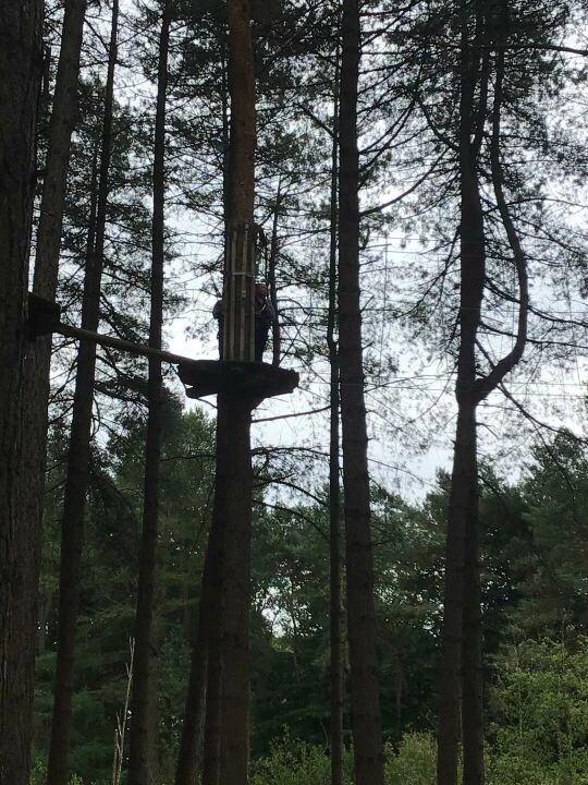 Go Ape