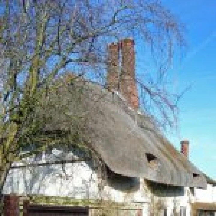 Cottage 05