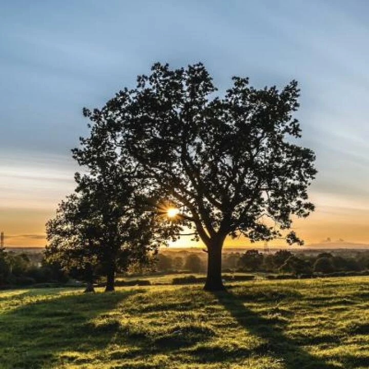 Home Cover Image