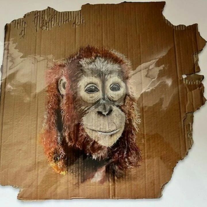 orangutane
