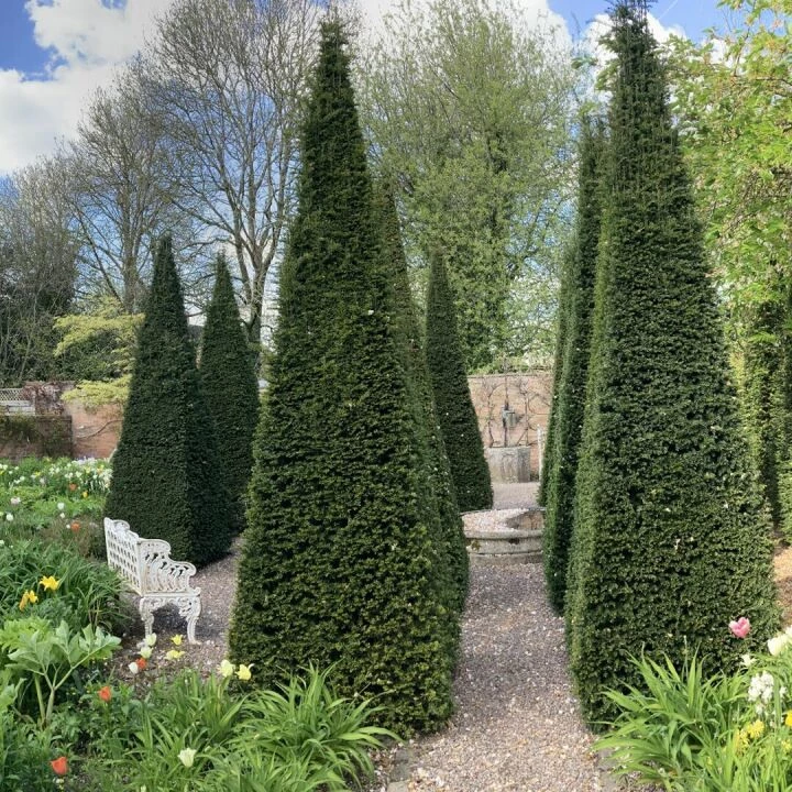 Wollerton5