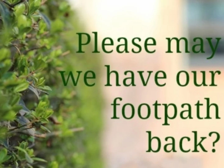 Plant overhanging pavement