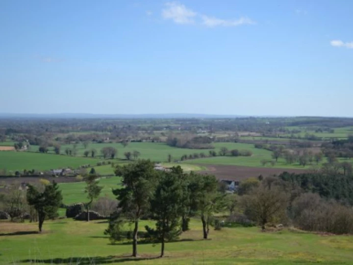 View from Ridge