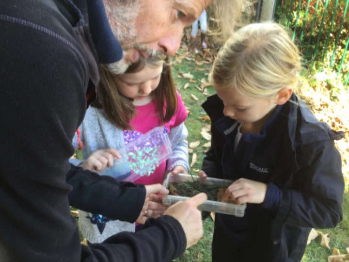 Minibeasts