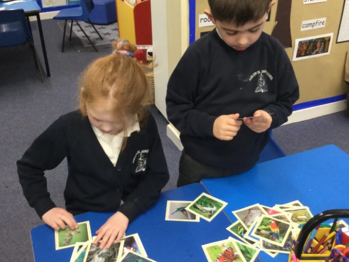 animal sorting