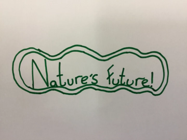 NF