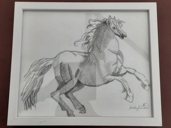 The Horse