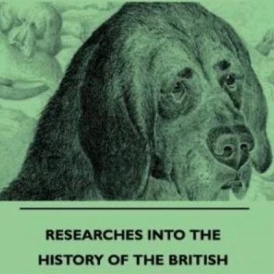 History of British Dog