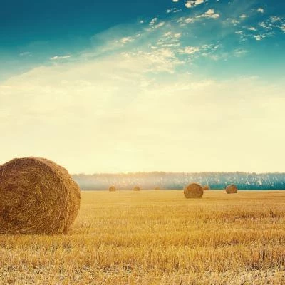 hay bales, farming, countryside, rural