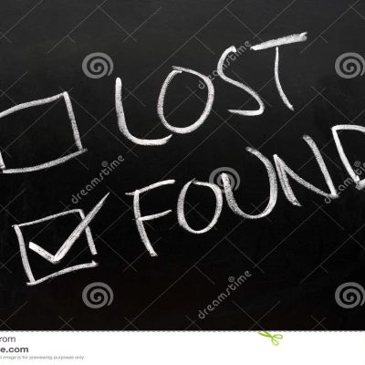 lost-found-check-boxes-(1) 22618828