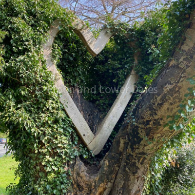Heart in a tree